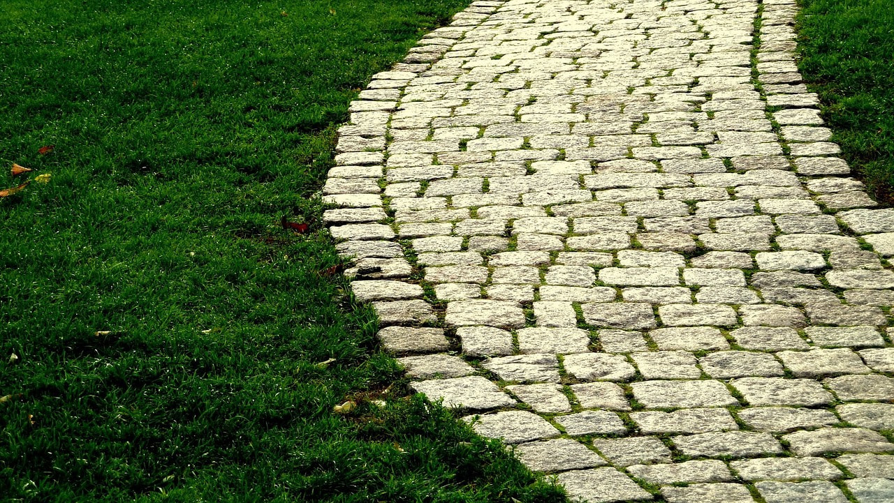 goals are your pavers, spark seed foundation
